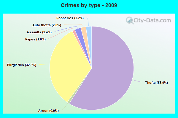 Crimes by type - 2009