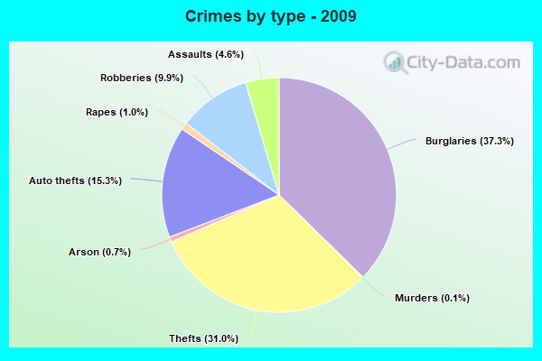 Crimes by type - 2009