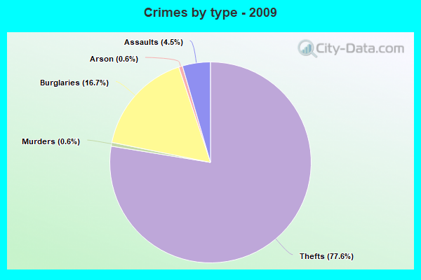 Crimes by type - 2009