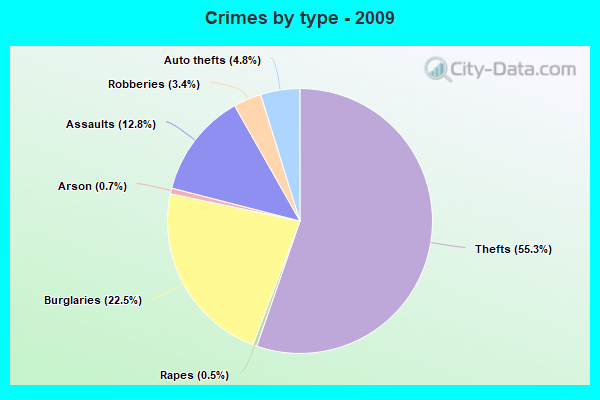 Crimes by type - 2009