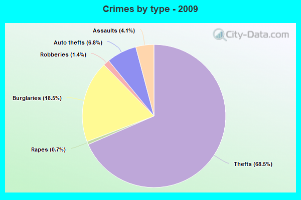 Crimes by type - 2009