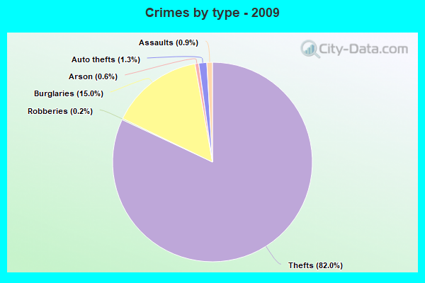 Crimes by type - 2009