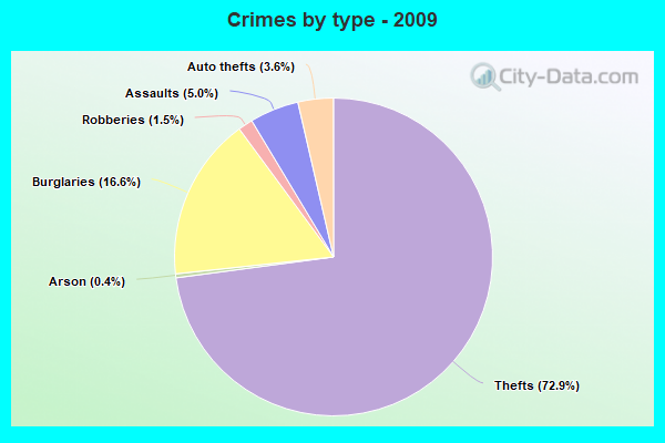 Crimes by type - 2009