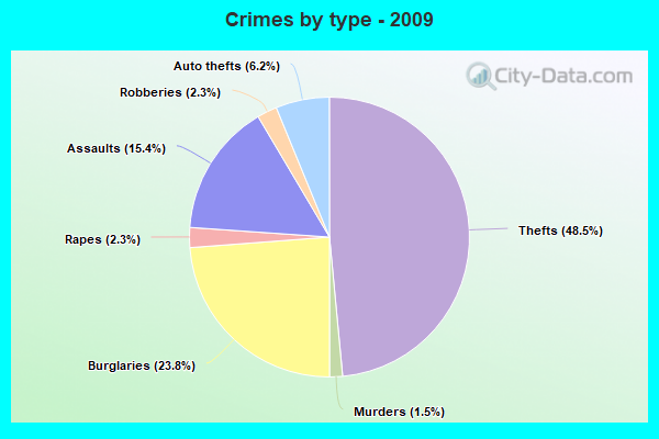 Crimes by type - 2009