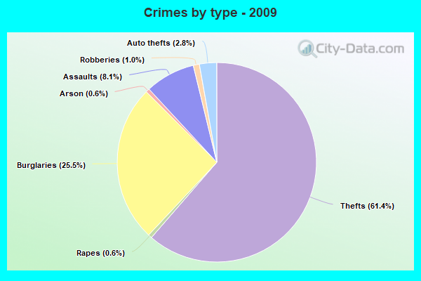 Crimes by type - 2009