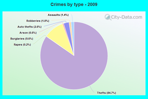 Crimes by type - 2009