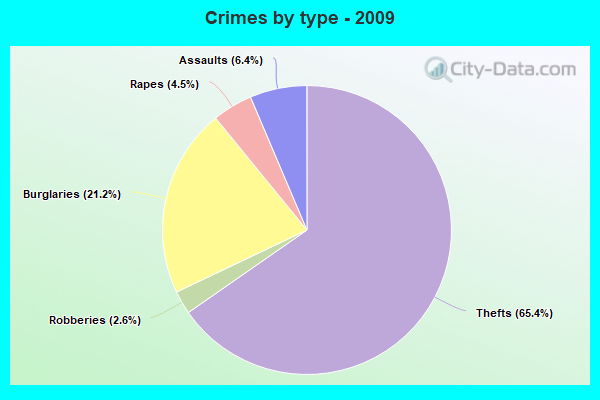 Crimes by type - 2009