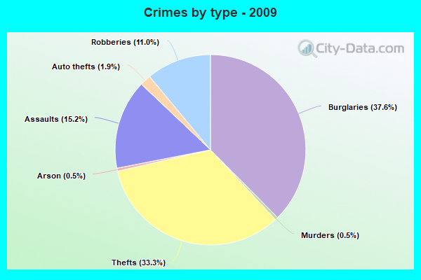 Crimes by type - 2009