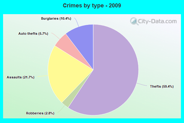 Crimes by type - 2009