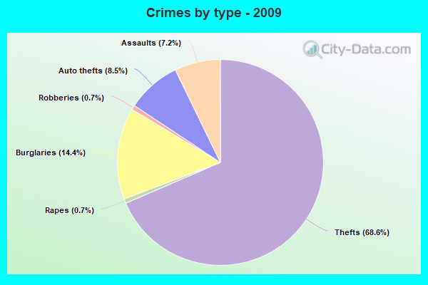 Crimes by type - 2009