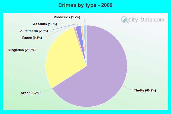 Crimes by type - 2009