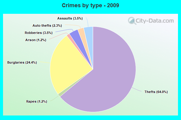 Crimes by type - 2009