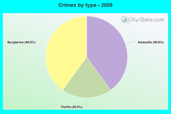 Crimes by type - 2009