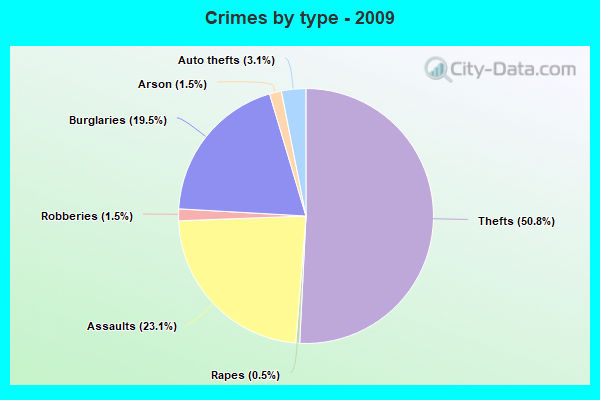 Crimes by type - 2009