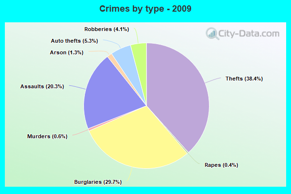 Crimes by type - 2009