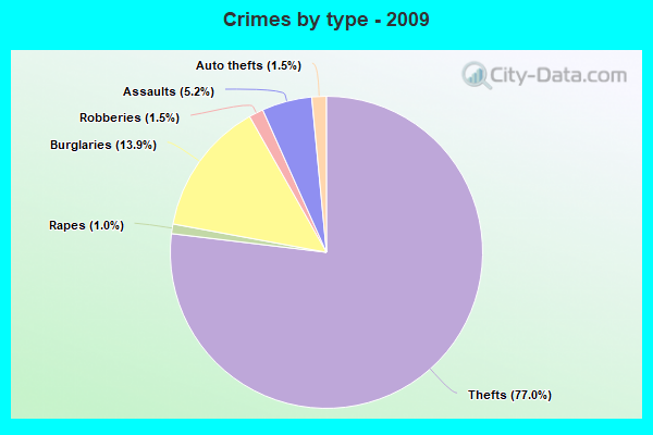 Crimes by type - 2009