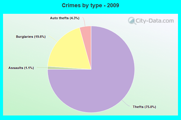 Crimes by type - 2009