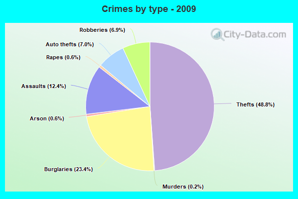 Crimes by type - 2009