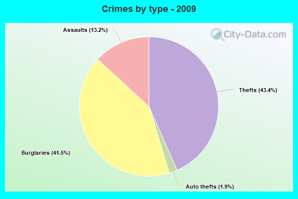 Crimes by type - 2009