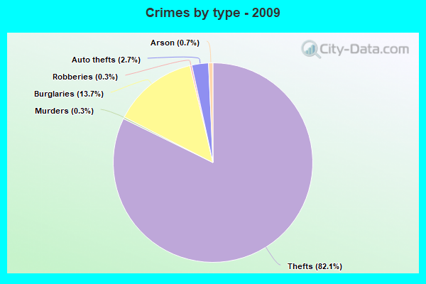 Crimes by type - 2009