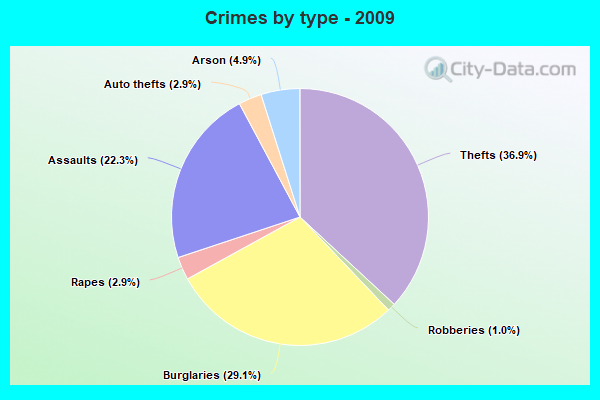 Crimes by type - 2009