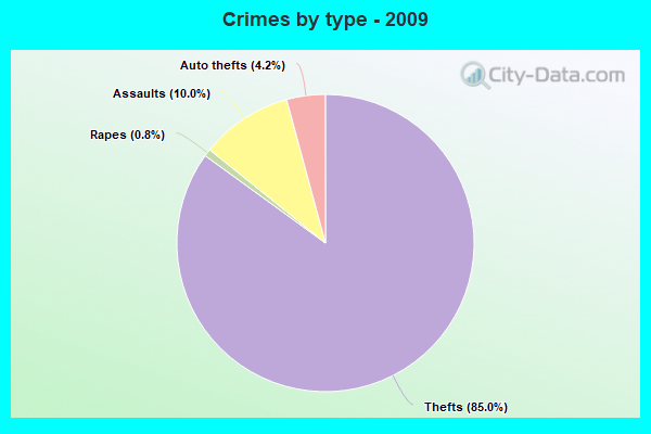 Crimes by type - 2009