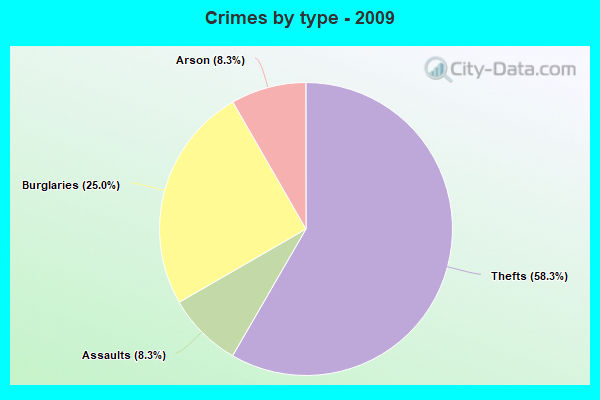 Crimes by type - 2009