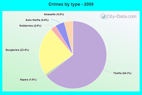 Crimes by type - 2009