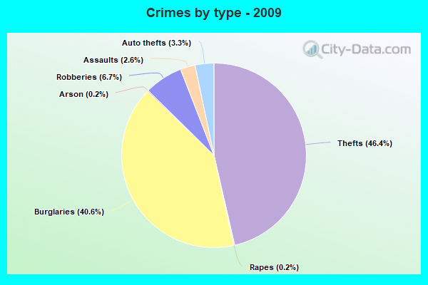 Crimes by type - 2009