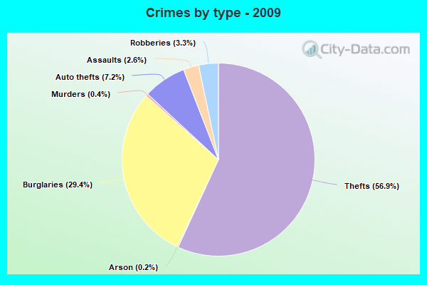 Crimes by type - 2009