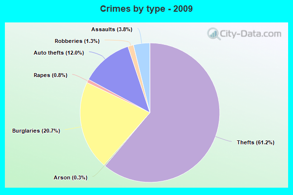 Crimes by type - 2009