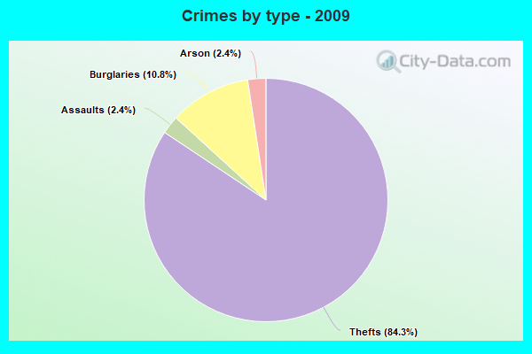 Crimes by type - 2009