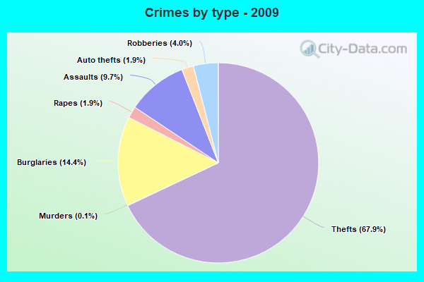 Crimes by type - 2009