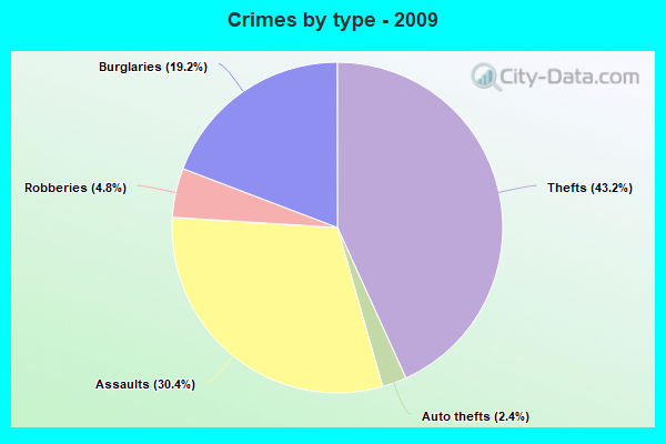 Crimes by type - 2009