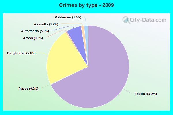 Crimes by type - 2009