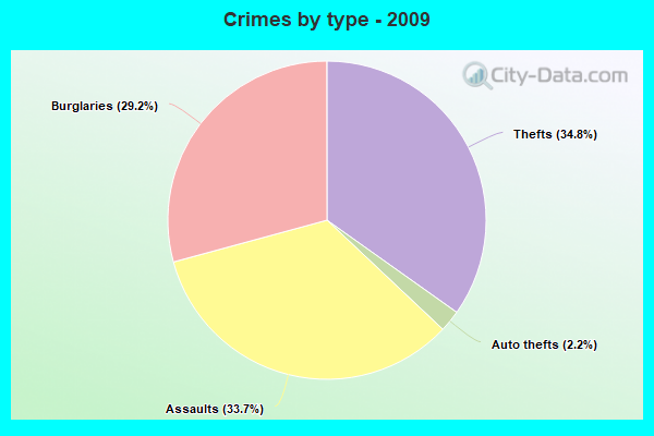 Crimes by type - 2009