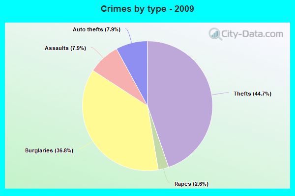 Crimes by type - 2009