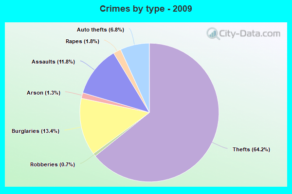 Crimes by type - 2009