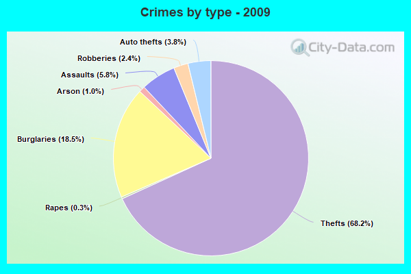 Crimes by type - 2009