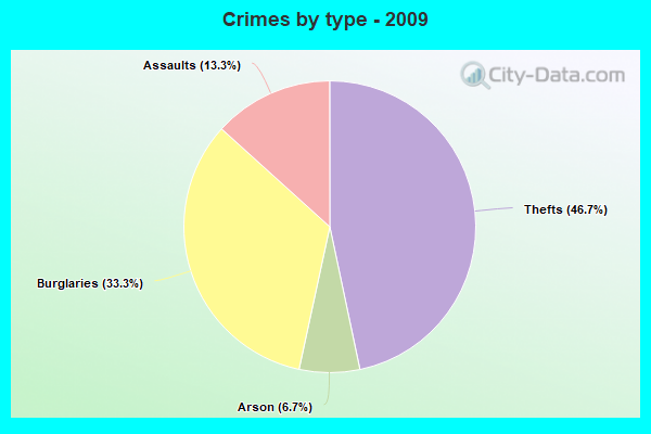 Crimes by type - 2009