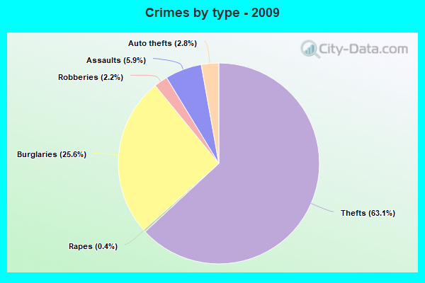 Crimes by type - 2009