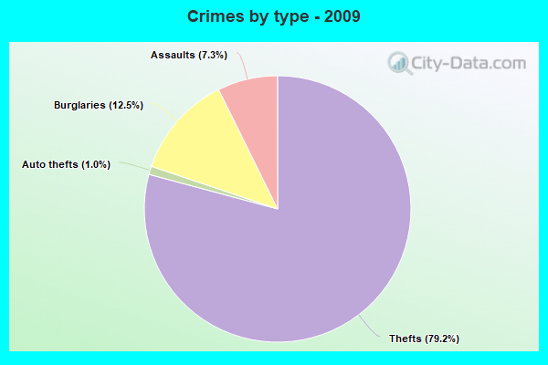 Crimes by type - 2009