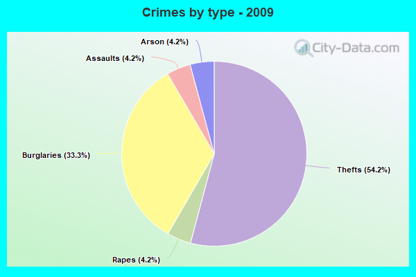 Crimes by type - 2009