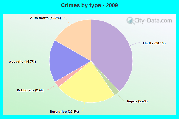 Crimes by type - 2009