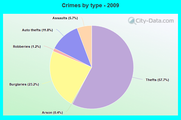 Crimes by type - 2009