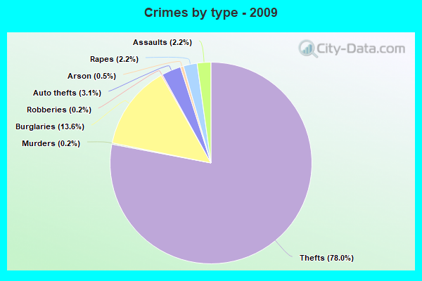 Crimes by type - 2009