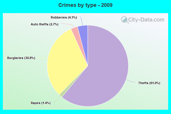 Crimes by type - 2009