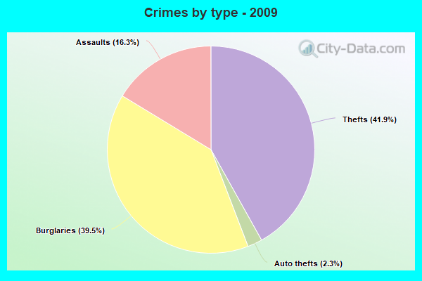 Crimes by type - 2009