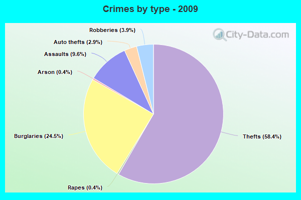 Crimes by type - 2009