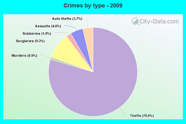 Crimes by type - 2009